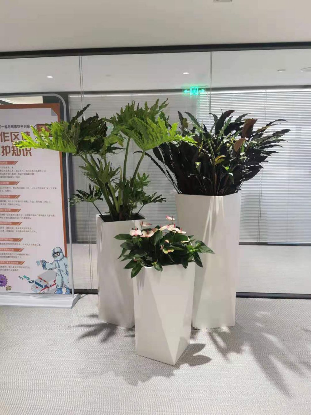 办公室植物租赁案例