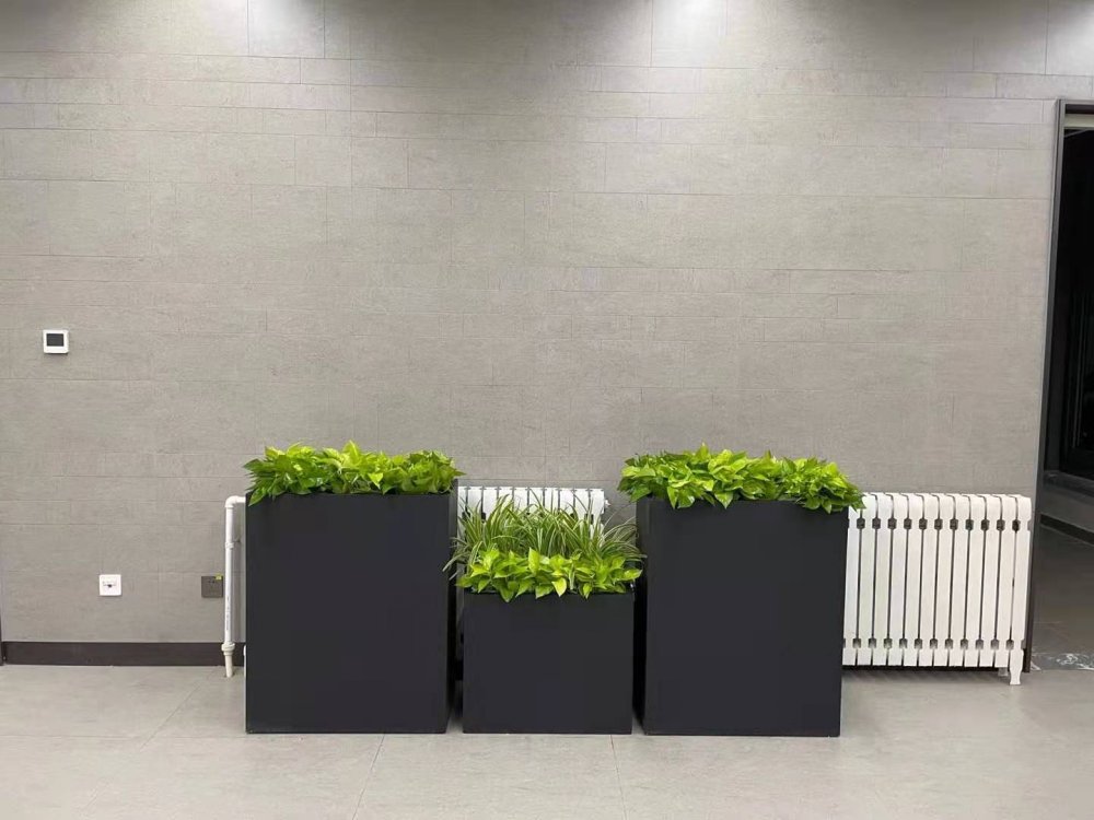 办公室植物租赁案例