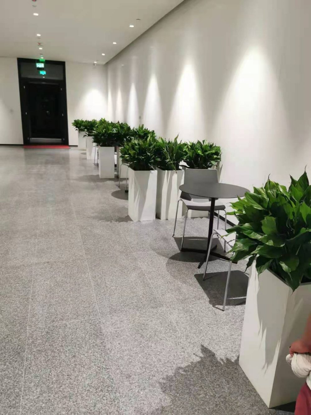 办公室植物租赁案例