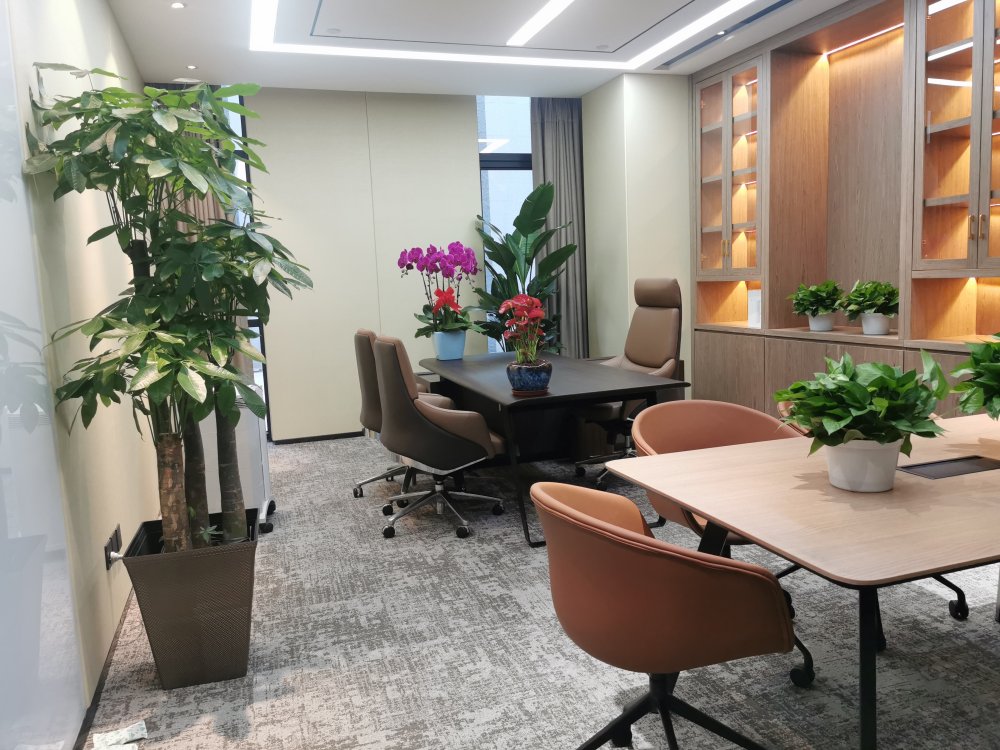办公室植物租赁案例