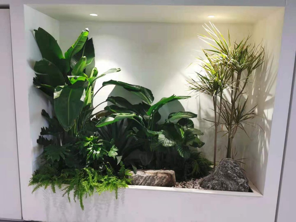 办公室植物租赁案例