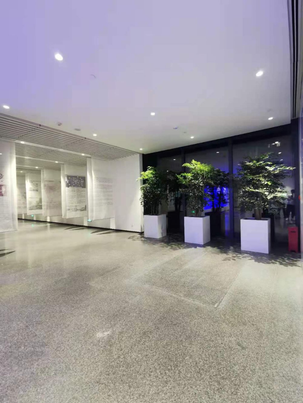 办公室植物租赁案例